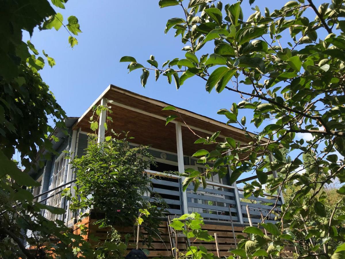 Eco Cottage Marina New Athos Luaran gambar